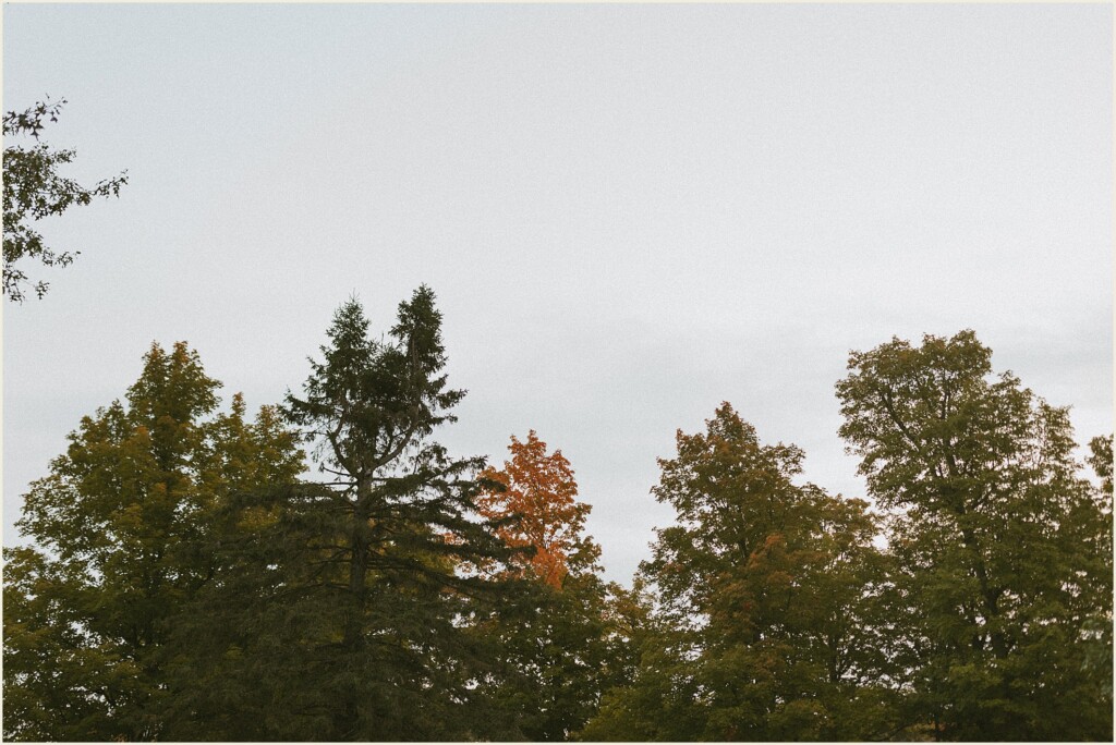 sunrise waterfall elopement in the upper peninsula